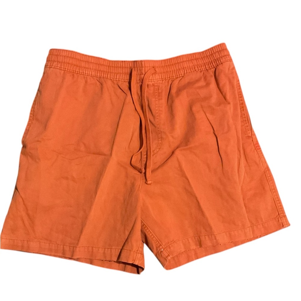 BDG Men’s Rust Color Cotton Drawstring Elastic Shorts